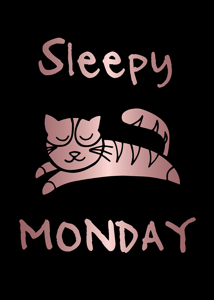 Funny Monday Cat 26