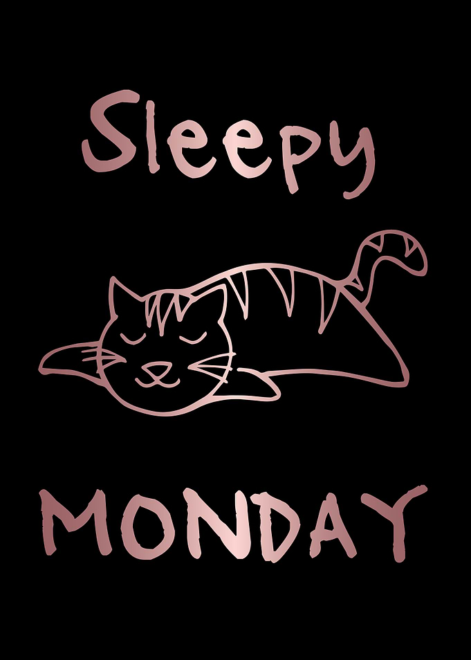 Funny Monday Cat 20