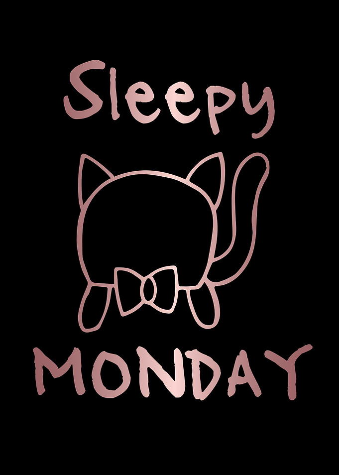 Funny Monday Cat 3