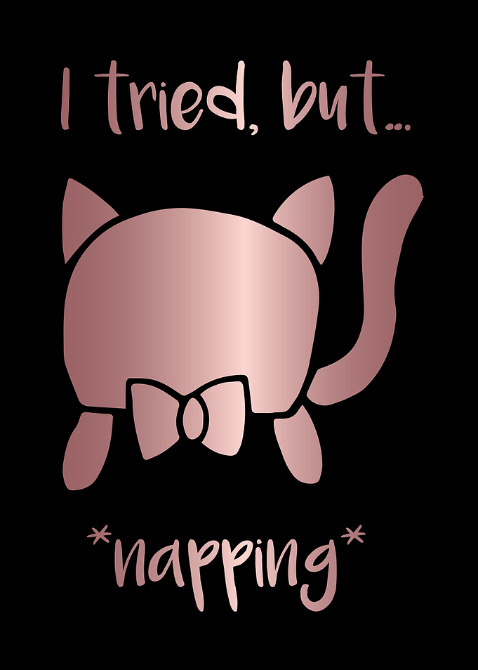 Nap Cat Animal 18