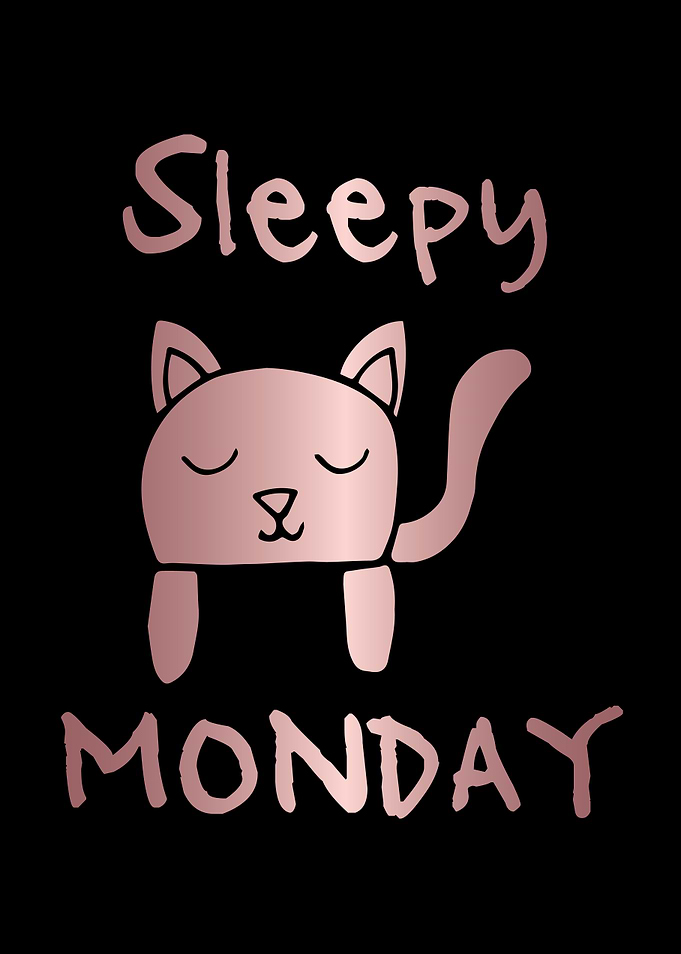Funny Monday Cat 7