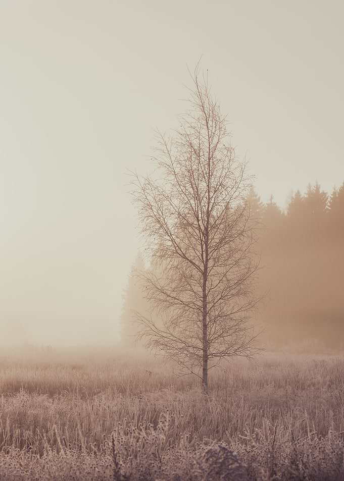 Waiting for winter