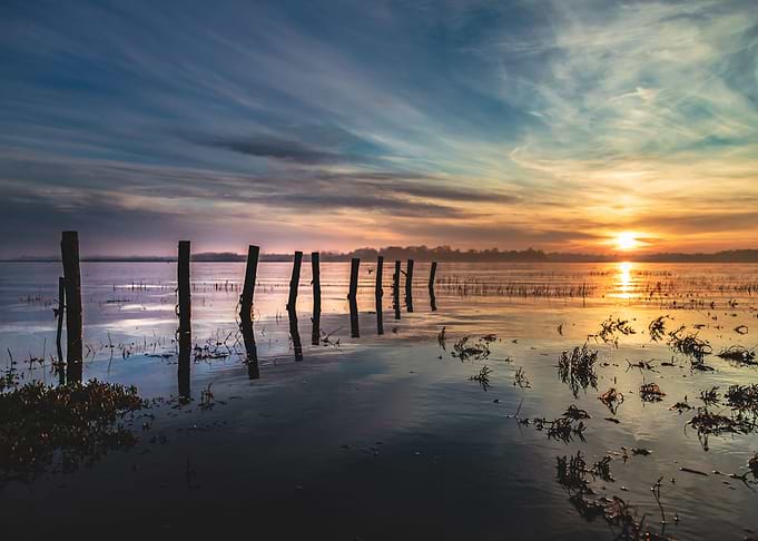 Estuary 1