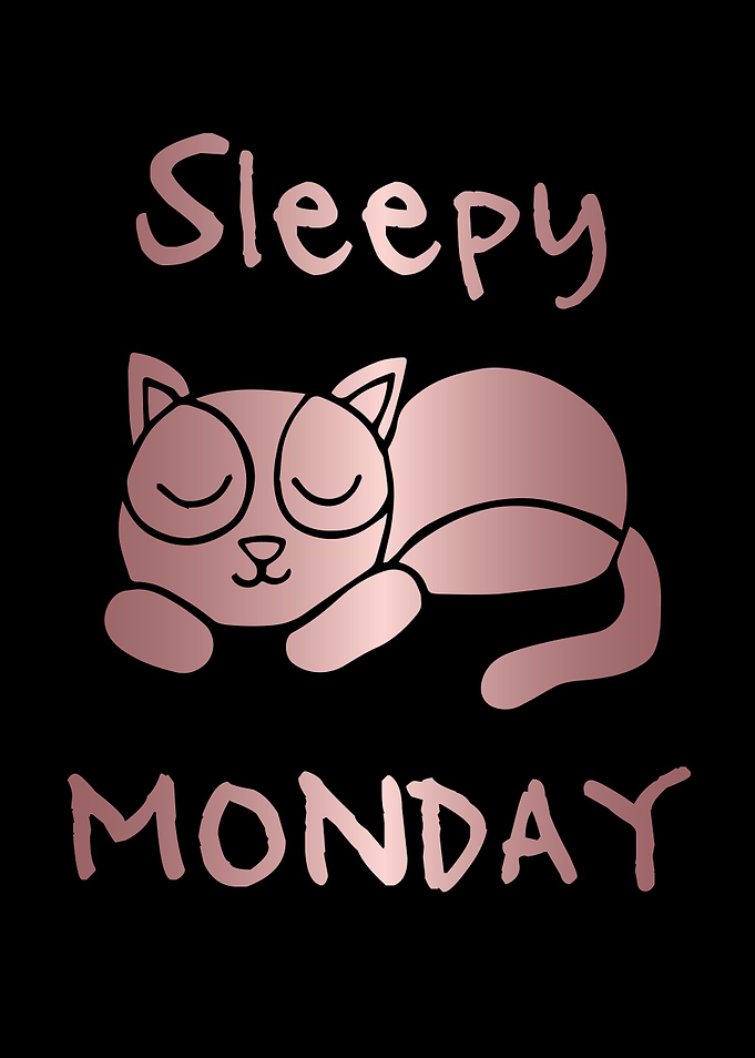 Funny Monday Cat 17