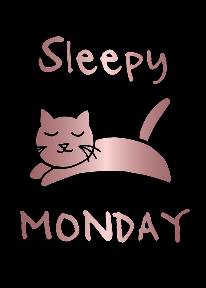 Funny Monday Cat 8