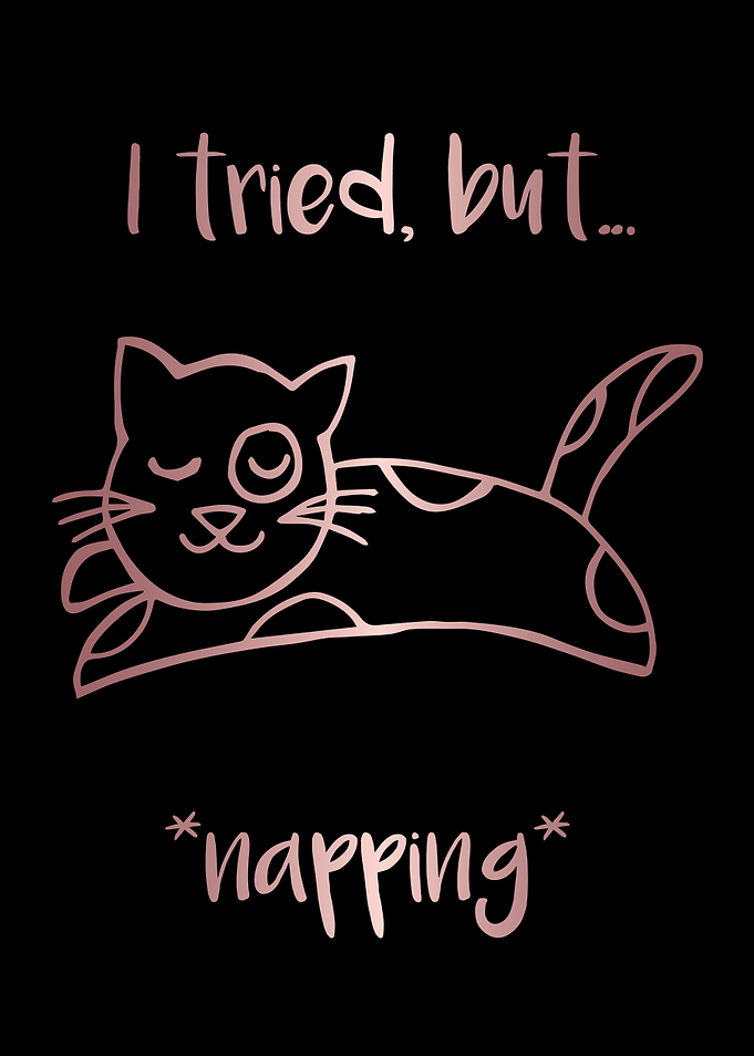 Nap Cat Animal 8