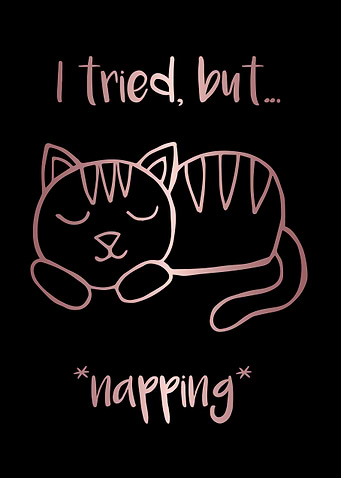 Nap Cat Animal 3