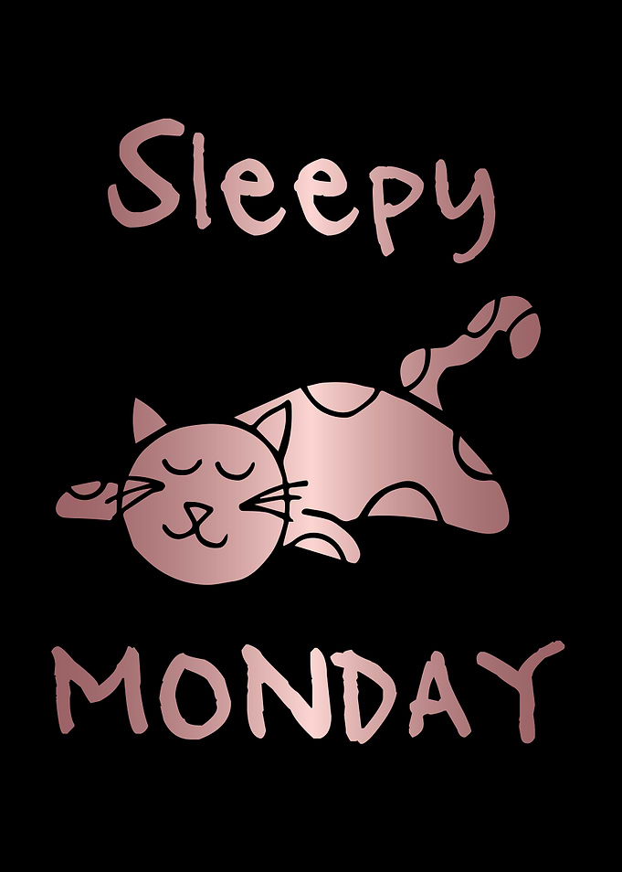 Funny Monday Cat 30