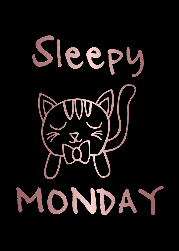 Funny Monday Cat 13