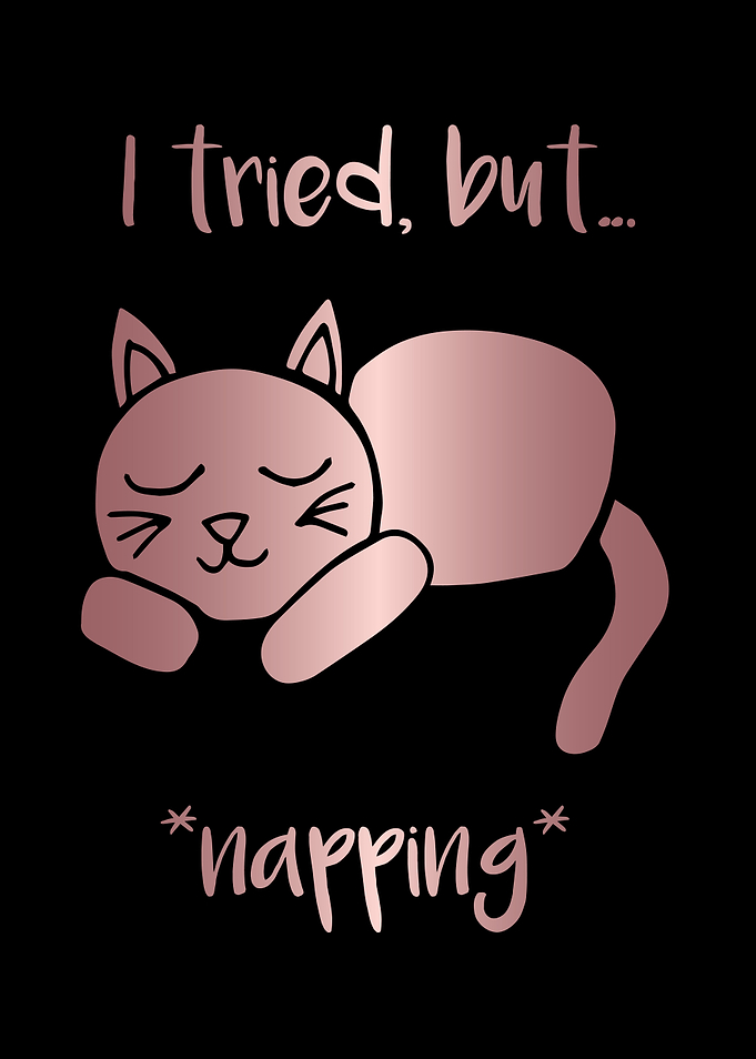 Nap Cat Animal 21