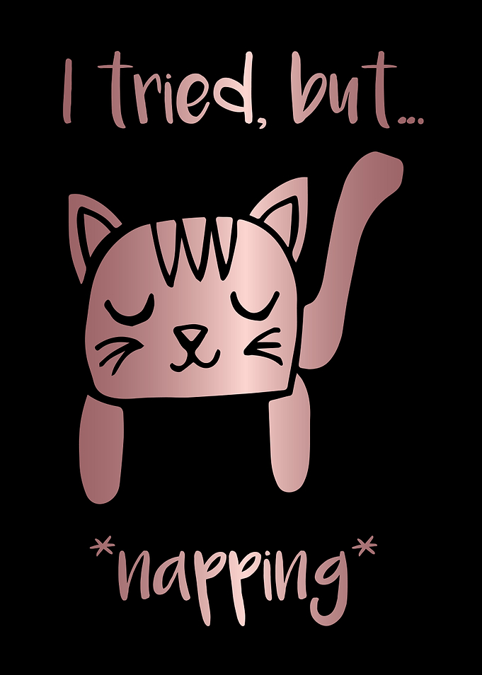 Nap Cat Animal 29