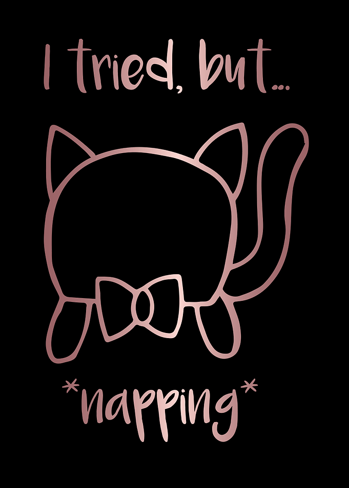 Nap Cat Animal 16