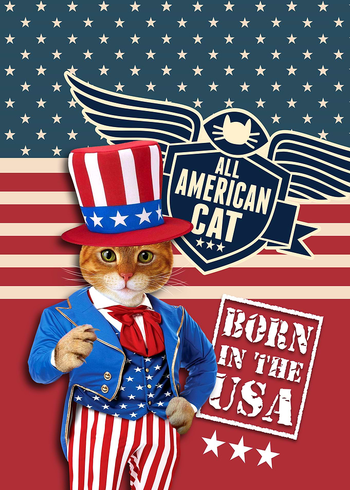 All American Cat