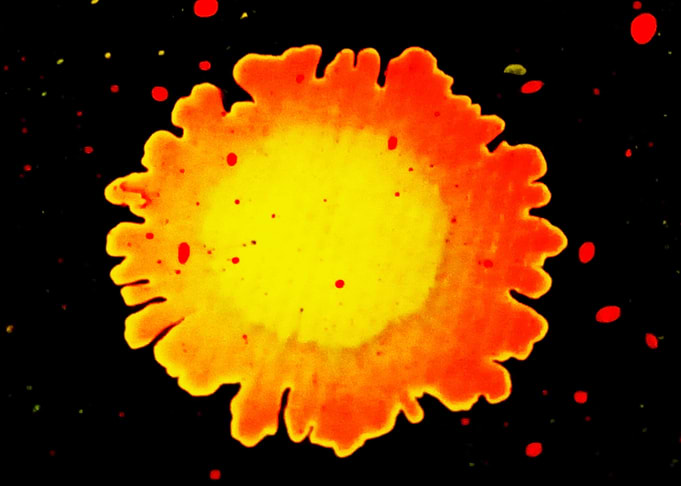 Fire Flower