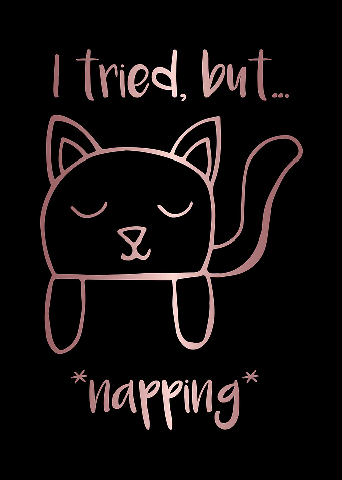 Nap Cat Animal 26