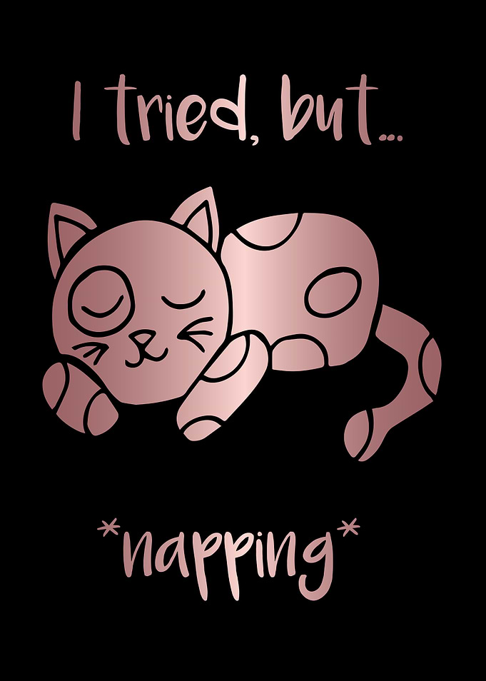Nap Cat Animal 4