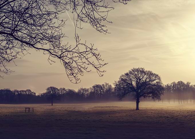 Morning Mist