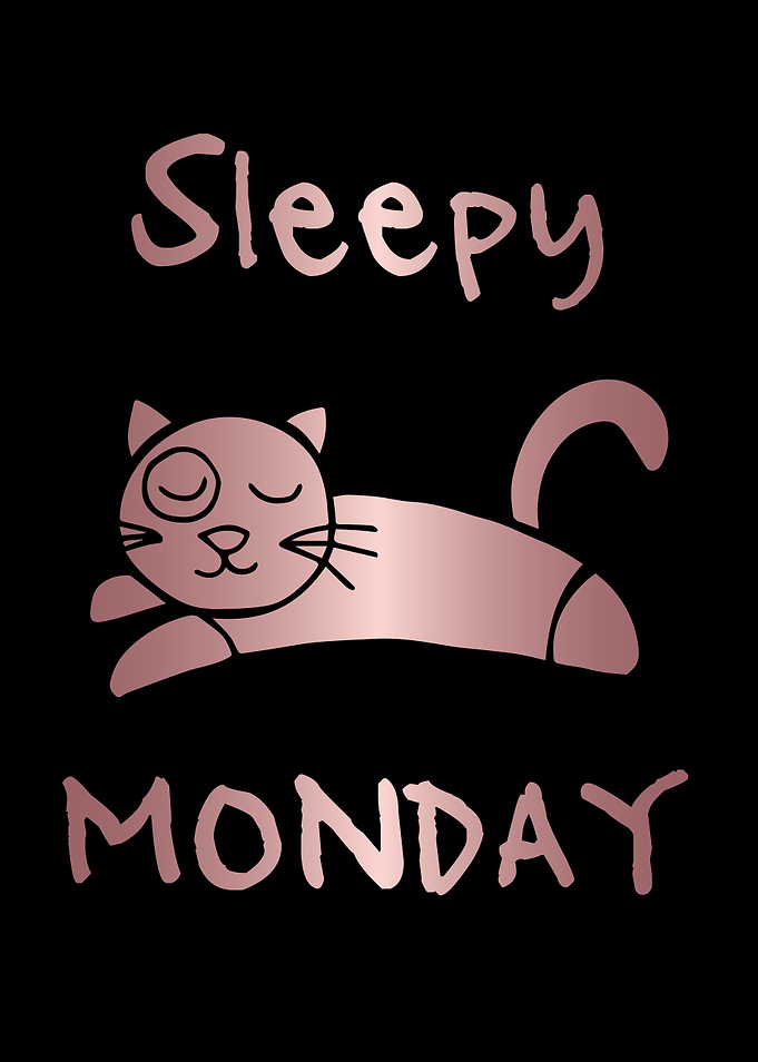 Funny Monday Cat 33