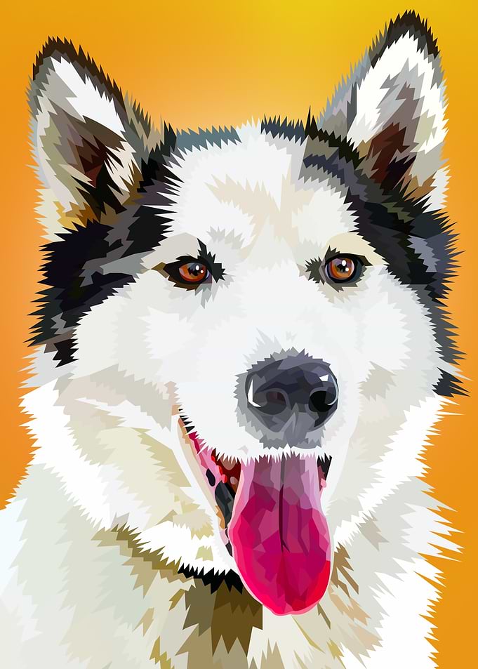 Happy Husky