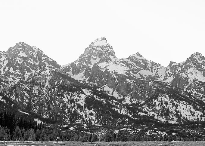 Grand Teton View