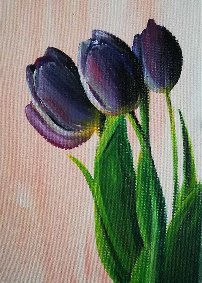 Tulipe