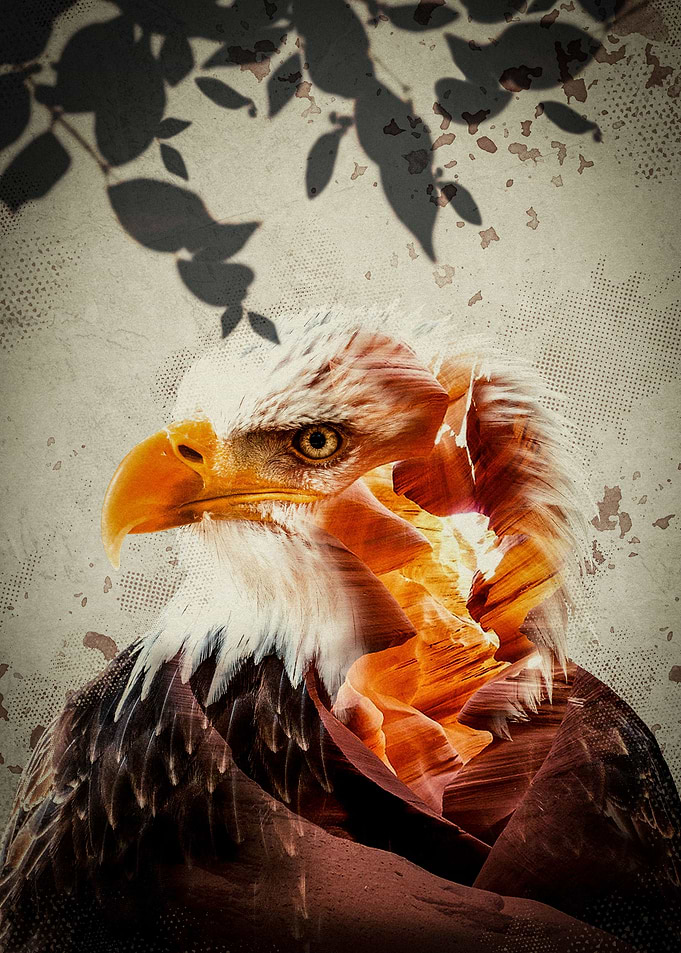 Canyon Eagle