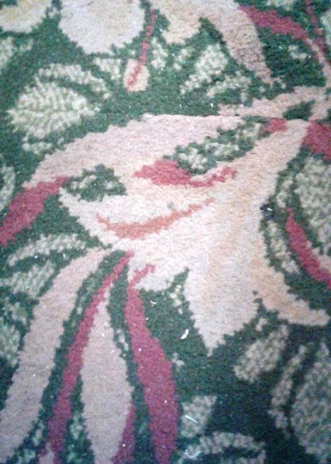 A Face In A carpet