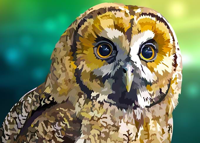 Mystical Owl