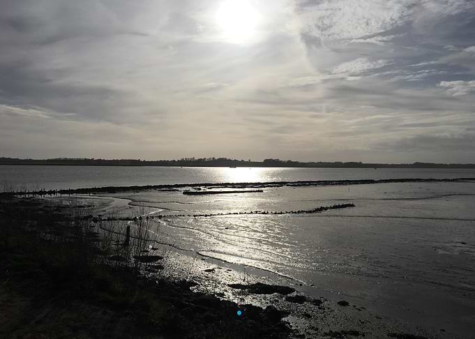Shoreline