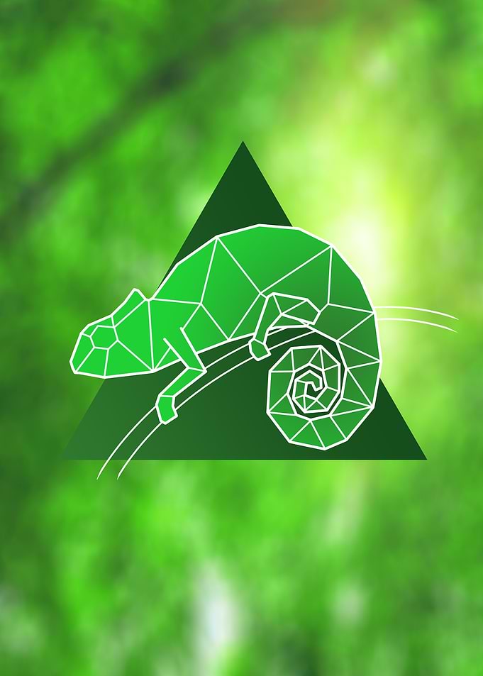 Geometric Chameleon