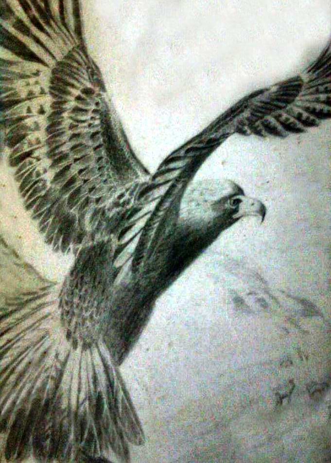 Eagle on Canvas