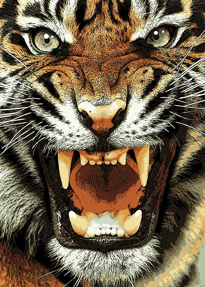 Tiger Abstract 2