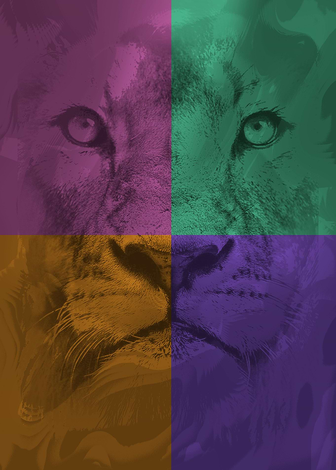 Beast faces