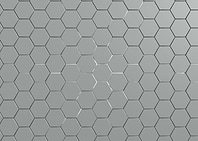 White Hexagon Grid 1
