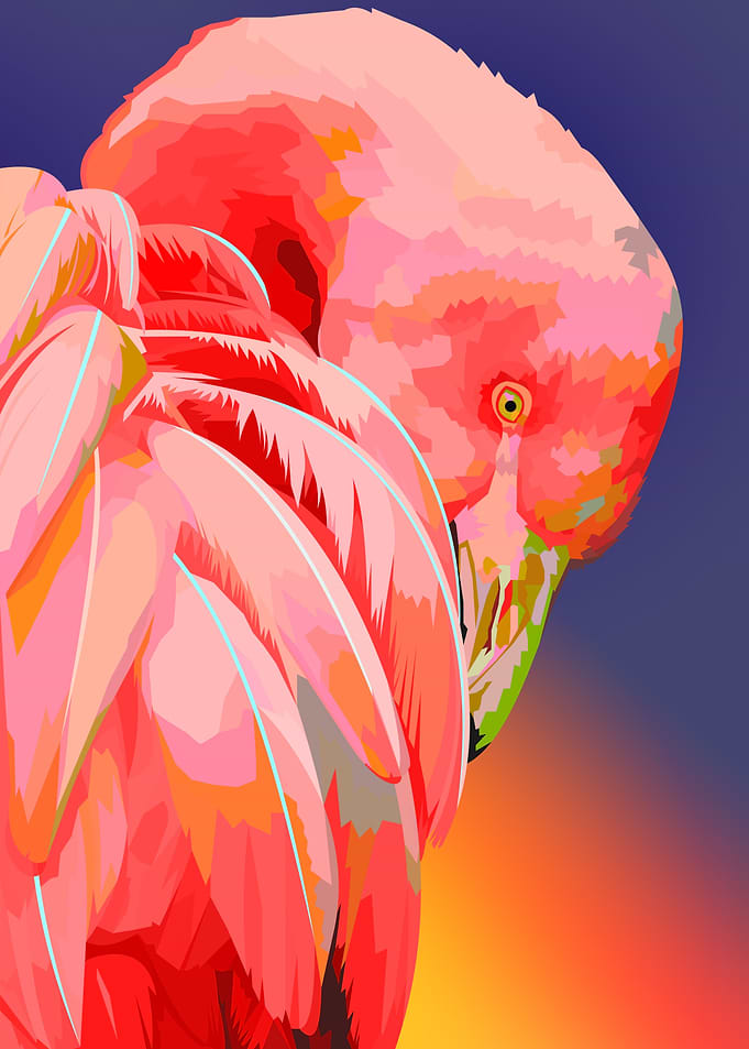 Flamingo sunset