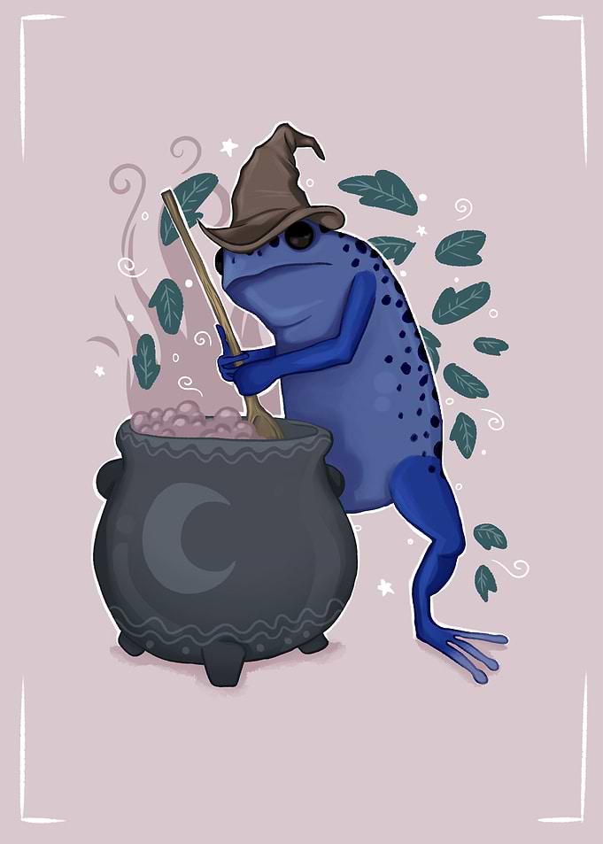Frog witch