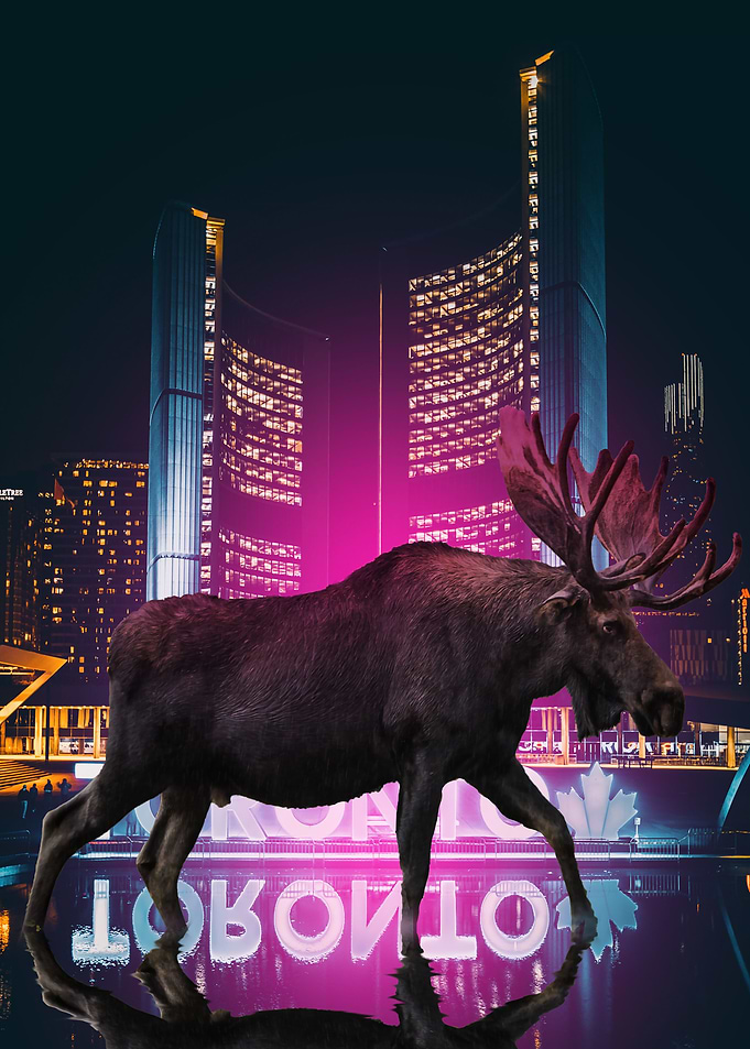 The Moose is Loose