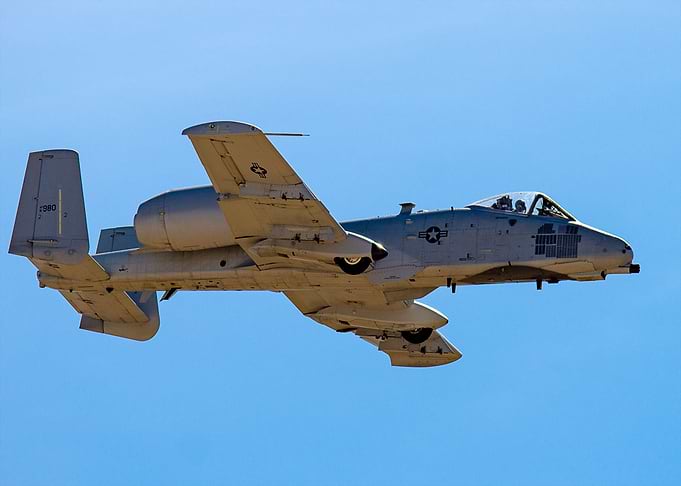 Warthog