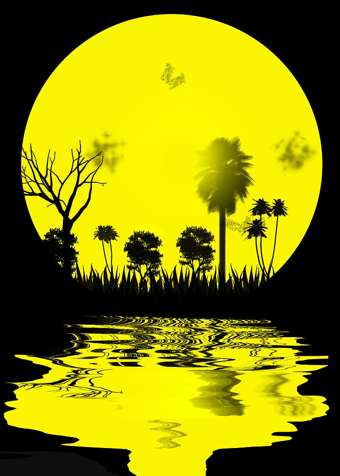 The Moon