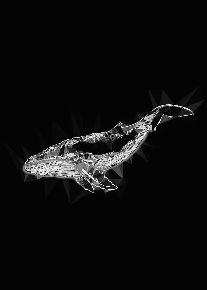 Shining Blue Whale (Black)