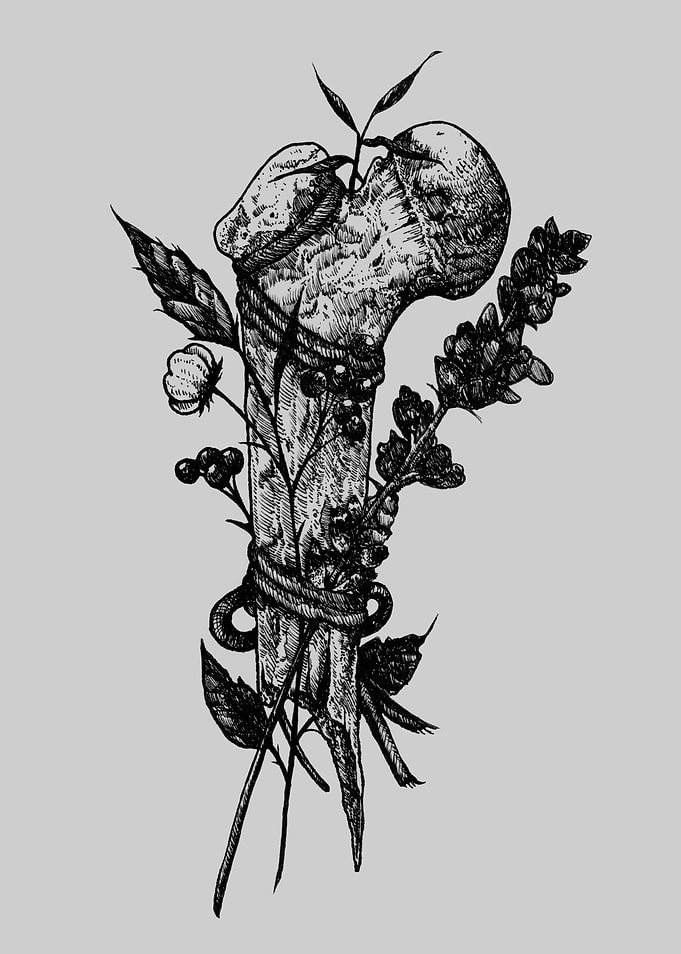 Amarre Bone