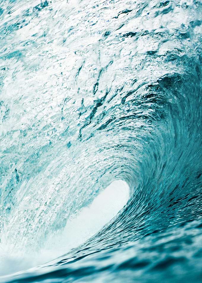 The Wave
