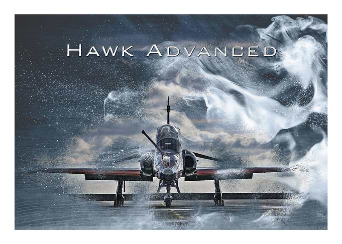 Training plane hawk