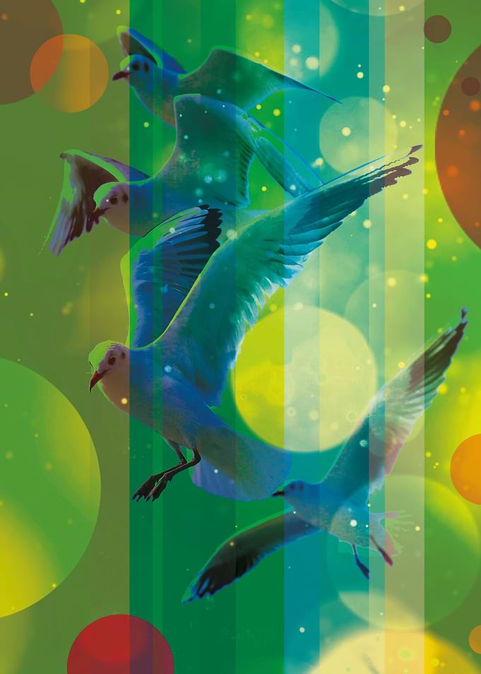 Birds