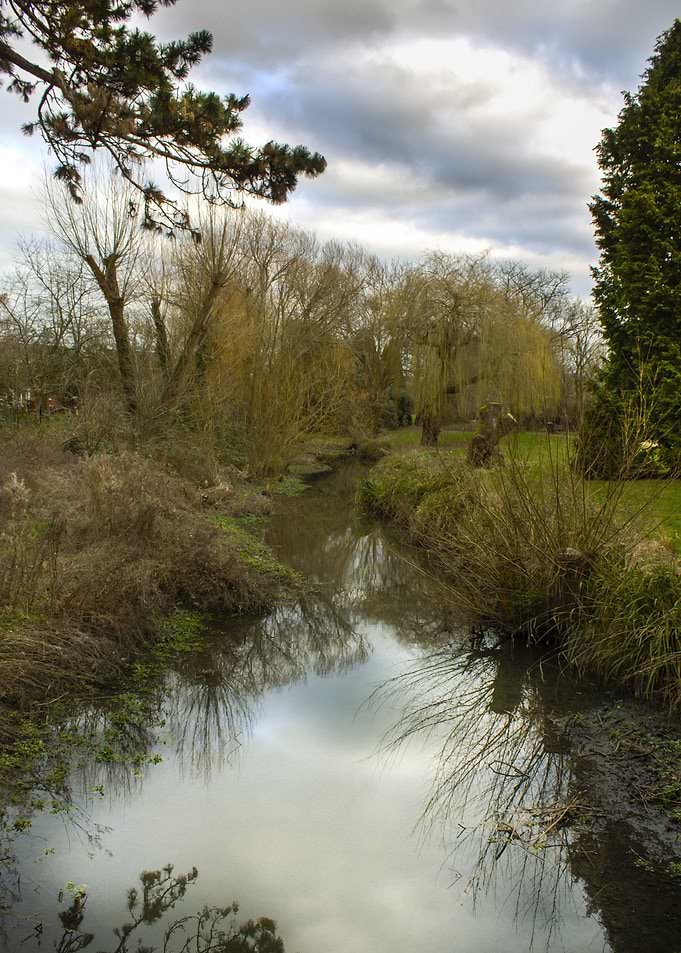 Stream Through The Park
