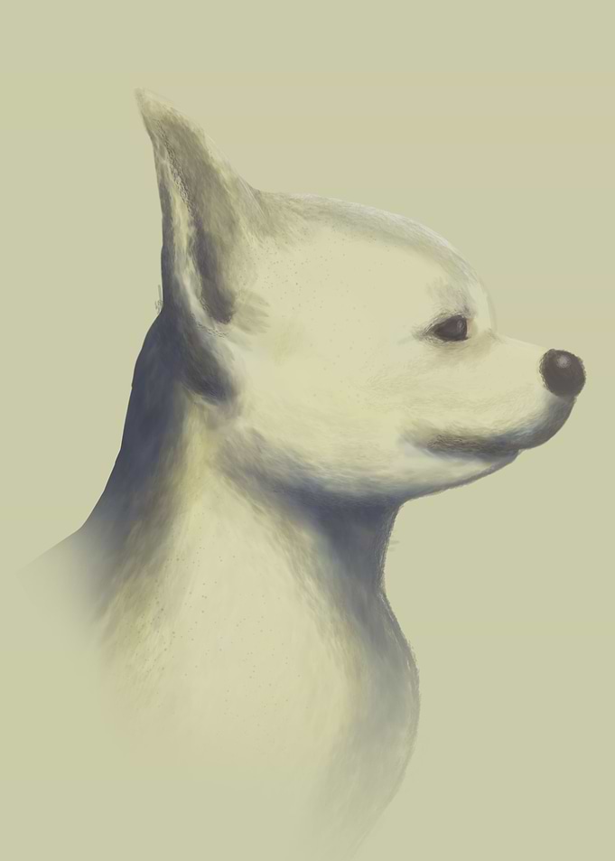 Fade Dog