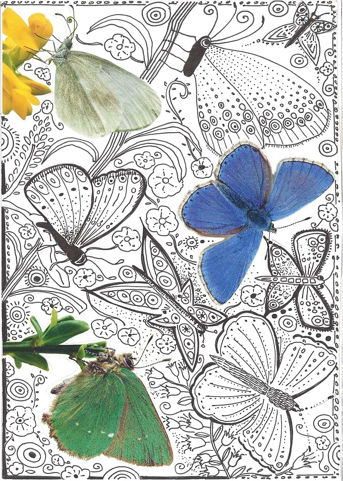 BUTTERFLIES