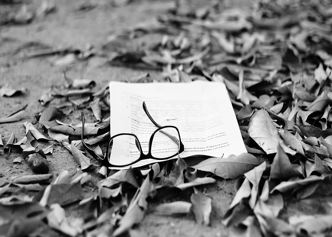Last Story