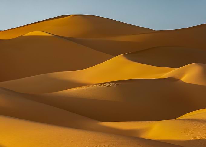 Magical curves
