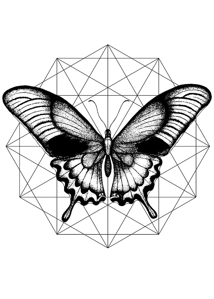Butterfly on the diamond